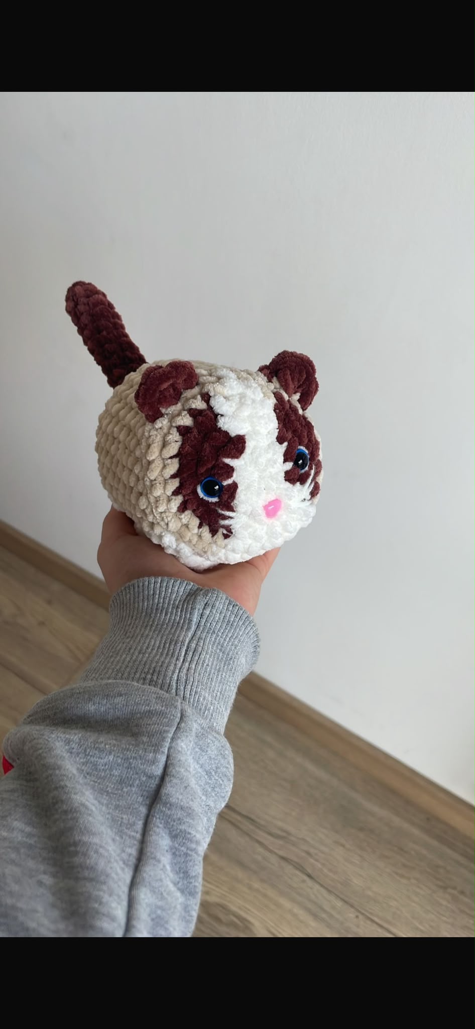 Chat brioche